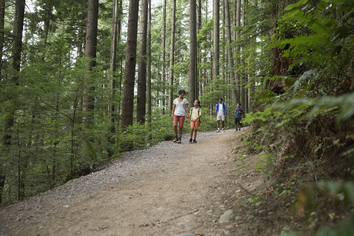 Family hiking on trail in woods